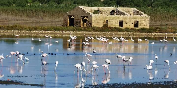 Casa Maritri Locazione Turistica Hotel Marzamemi Eksteriør billede